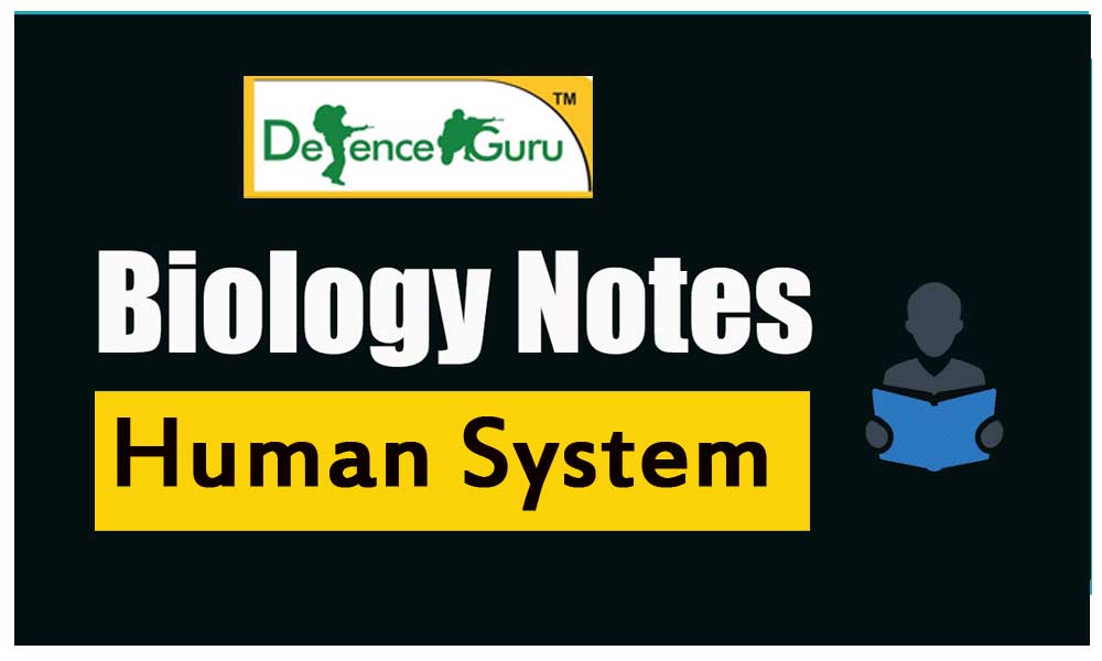 Biology Human System Notes For NDA Exam