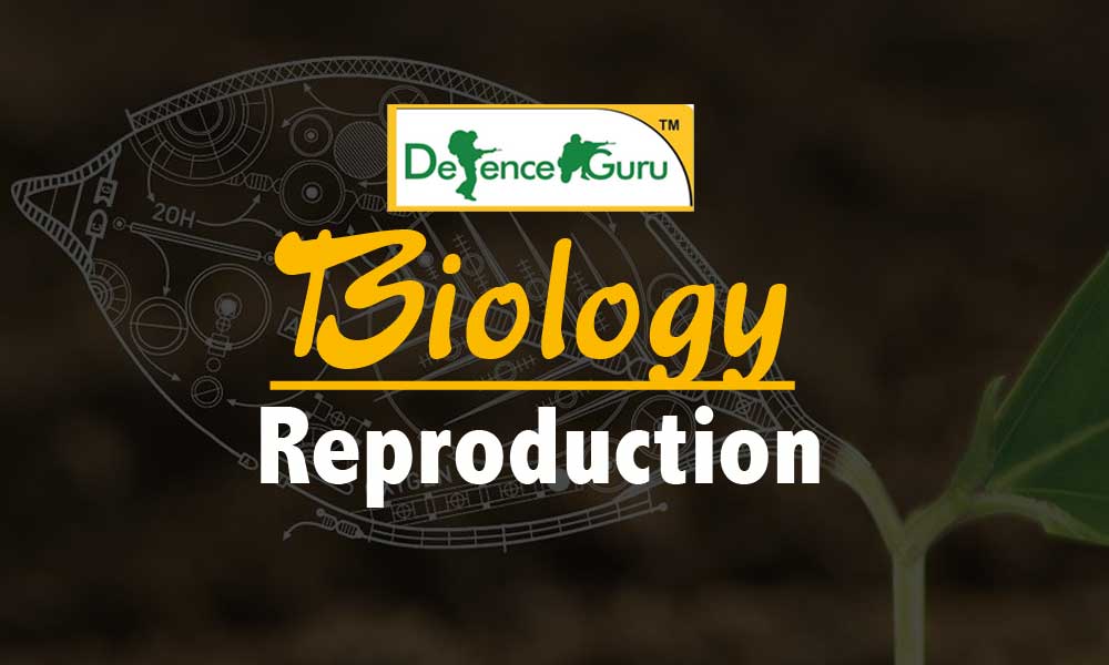 Biology Reproduction