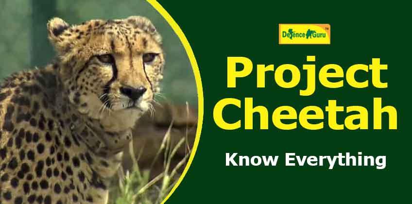 Important SSB Interview Questions on Project Cheetah - Know Everything