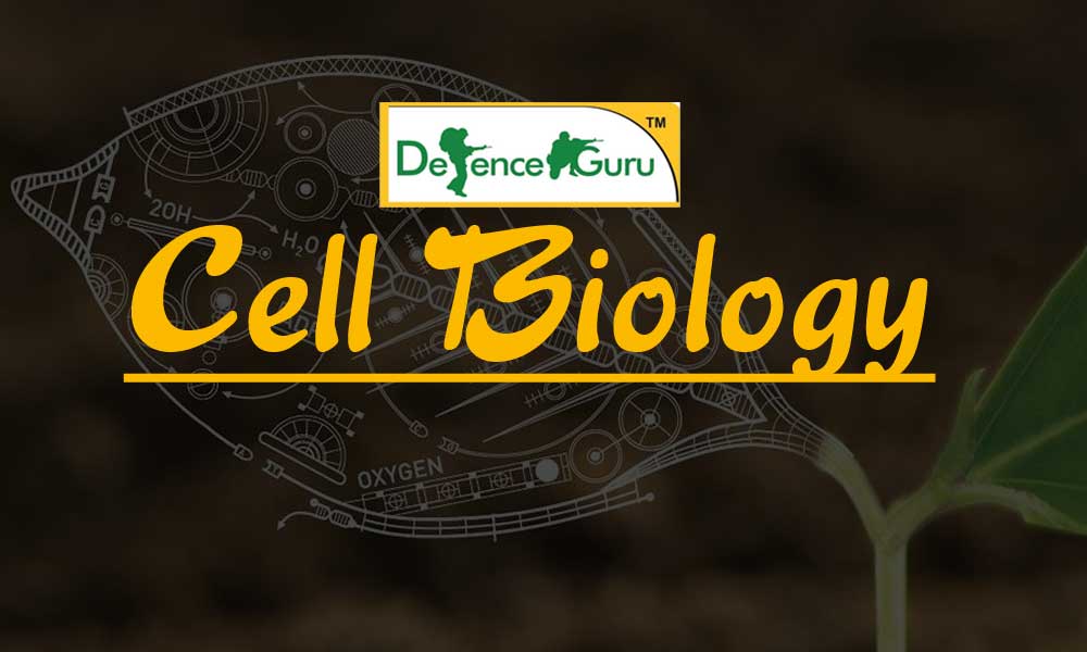 Cell Biology