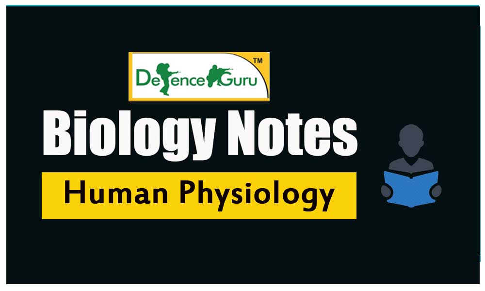 Human Physiology