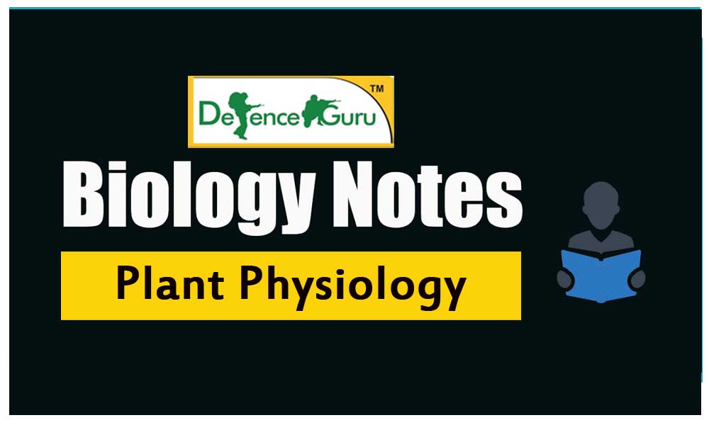 Plant Physiology