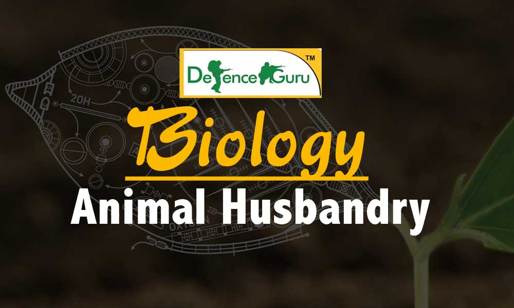 Biology Animal Husbandry